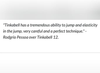 KWPN, Unbekannt, Embryo