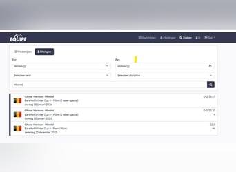 KWPN, Merrie, 14 Jaar, 162 cm