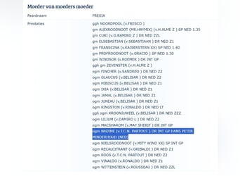 KWPN, Ogier, , Kasztanowata