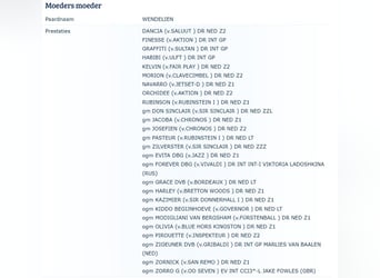 KWPN, Ogier, , Kasztanowata