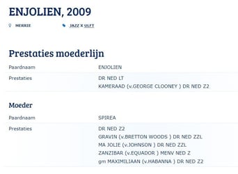 KWPN, Ogier, , Kasztanowata