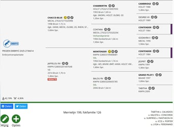 KWPN, Ogier, Źrebak (01/2026)