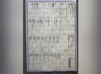 KWPN, Ruin, 2 Jaar, 169 cm, Donkerbruin