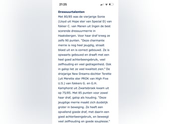 KWPN, Stute, 3 Jahre, 166 cm, Fuchs