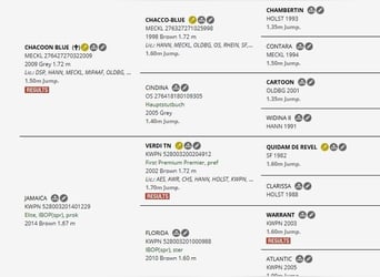 KWPN, Wallach, 3 Jahre, 172 cm, Brauner