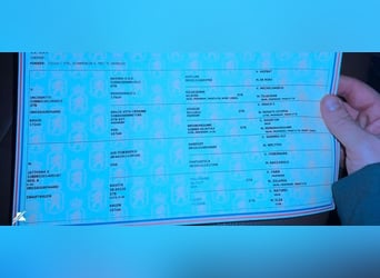 KWPN, Yegua, 7 años, 167 cm, Alazán