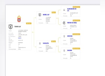 Lusitanien, Étalon, 1 Année, 163 cm, Bai