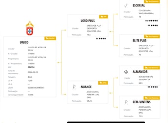 Lusitanien, Étalon, 1 Année, Isabelle