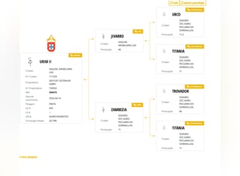 Lusitanien, Étalon, 2 Ans, 165 cm, Noir