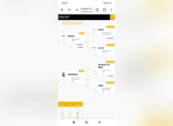 Lusitanien, Étalon, 3 Ans, Gris