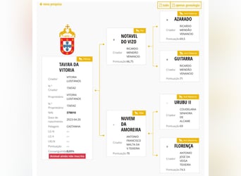 Lusitano, Mare, 2 years, Bay-Dark