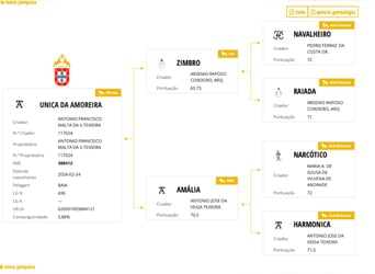 Lusitano, Merrie, 2 Jaar, 161 cm, Falbe