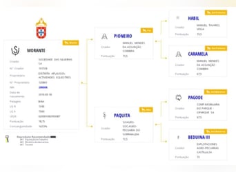 Lusitano, Stallion, 2 years, 15.3 hh, Grey