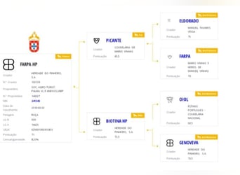 Lusitano, Stallion, 2 years, 15.3 hh, Grey