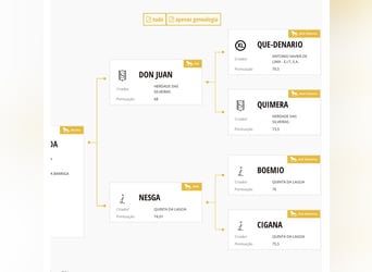 Lusitano, Stallion, 3 years, 15.3 hh, Grey