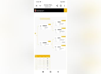 Lusitano, Stallion, Foal (04/2025), Grey