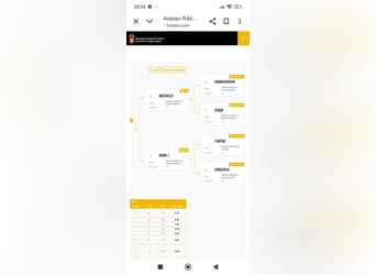 Lusitano, Stallion, Foal (04/2025), Grey