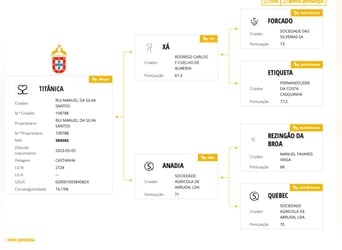 Lusitanos, Yegua, 3 años, 155 cm, Castaño