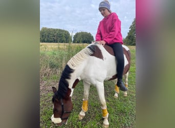 Mädchen sucht Reitbeteildigung