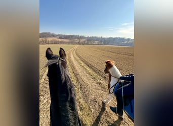 Mama-Tochter Duo sucht...