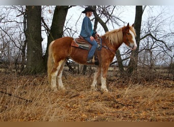 Más caballos centroeuropeos, Yegua, 6 años, 170 cm, Alazán-tostado