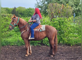 Más caballos centroeuropeos, Yegua, 7 años, 162 cm, Alazán