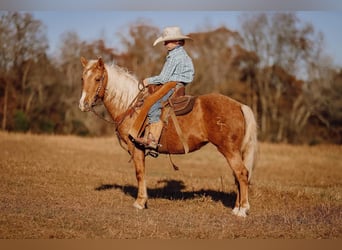 Más ponis/caballos pequeños, Caballo castrado, 12 años, 124 cm, Palomino