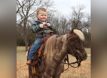 Más ponis/caballos pequeños, Caballo castrado, 3 años, 81 cm, Palomino