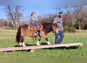 Más ponis/caballos pequeños, Caballo castrado, 4 años, 94 cm, Buckskin/Bayo