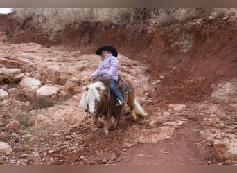Más ponis/caballos pequeños, Caballo castrado, 6 años, 91 cm, Alazán-tostado