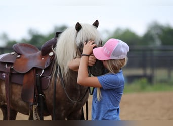 Más ponis/caballos pequeños, Caballo castrado, 7 años, 109 cm, Palomino