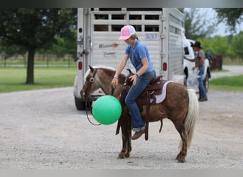 Más ponis/caballos pequeños, Caballo castrado, 7 años, 109 cm, Palomino