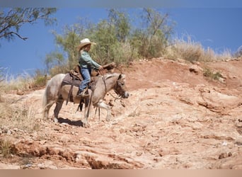 Más ponis/caballos pequeños, Caballo castrado, 7 años, 97 cm, Ruano alazán