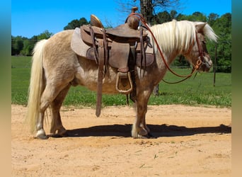 Más ponis/caballos pequeños, Caballo castrado, 9 años, 94 cm