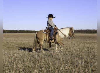 Más ponis/caballos pequeños, Yegua, 4 años, 97 cm, Bayo