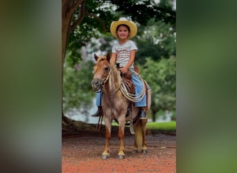 Más ponis/caballos pequeños, Yegua, 5 años, 94 cm, Ruano alazán