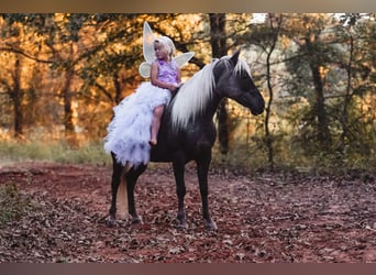 Más ponis/caballos pequeños, Yegua, 6 años, 122 cm