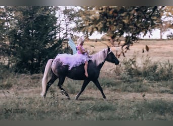 Más ponis/caballos pequeños, Yegua, 6 años, 122 cm