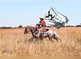 Más ponis/caballos pequeños, Yegua, 6 años, 122 cm