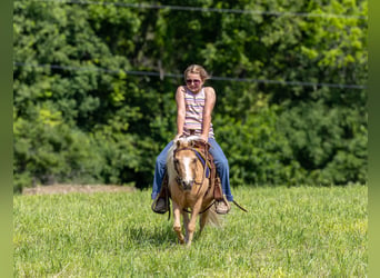 Más ponis/caballos pequeños, Caballo castrado, 10 años, 94 cm, Palomino