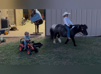 Más ponis/caballos pequeños, Caballo castrado, 11 años, 104 cm