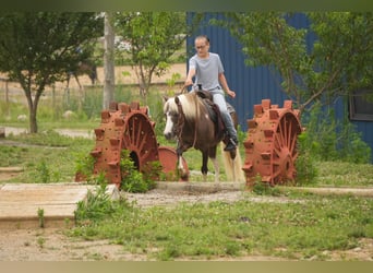 Más ponis/caballos pequeños, Caballo castrado, 4 años, 112 cm, Pío