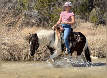 Más ponis/caballos pequeños, Caballo castrado, 6 años, 122 cm, Pío