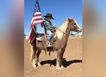 Más ponis/caballos pequeños, Caballo castrado, 8 años, 114 cm, Ruano alazán