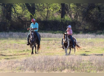 Más ponis/caballos pequeños, Caballo castrado, 8 años, 122 cm, Pío