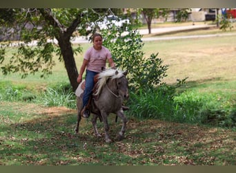 Más ponis/caballos pequeños, Caballo castrado, 9 años, 112 cm, Buckskin/Bayo