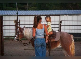 Más ponis/caballos pequeños, Yegua, 8 años, 119 cm, Ruano alazán