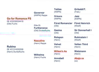 Mecklenburg, Stallone, Puledri
 (05/2023), Sauro