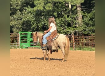 Meer ponys/kleine paarden, Merrie, 5 Jaar, 94 cm, Roan-Red