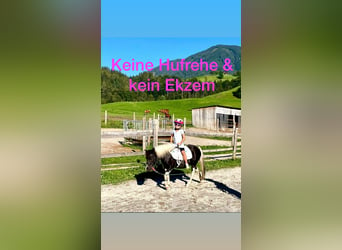 Meer ponys/kleine paarden Mix, Merrie, 8 Jaar, 110 cm, Gevlekt-paard